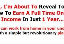 Full Time Online Income Blueprint PLR Full time Online Income
