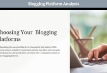 Blogging Platform Analysis