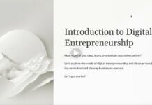 Introduction to Digital Entrepreneurialism Introduction-to-Digital-Entrepreneurship