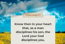 Bible Quotes Collection. 310 PLR Quotes Images Bible Quotes