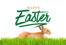 Internet Marketing. A Great Example of It’s Flexibility Internet Marketing Happy Easter