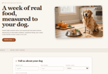 Turn Problems into a Marketable Solution: Dog Diet Builder The Hubs Dog Diet Builder